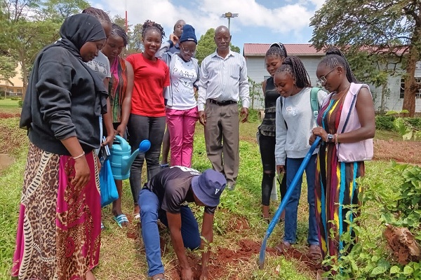 IMG-20241118-WA0034555